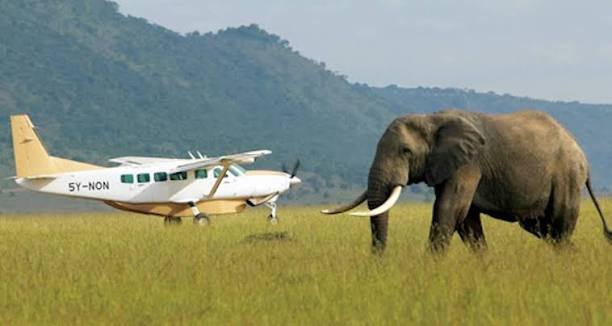 Fly-In Safaris in Tanzania