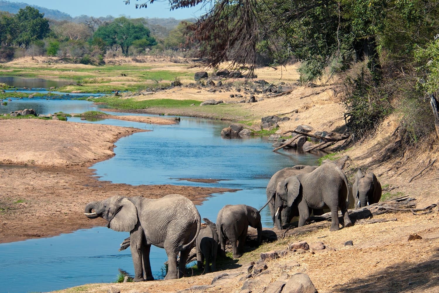 Ruaha National Park, Tanzania