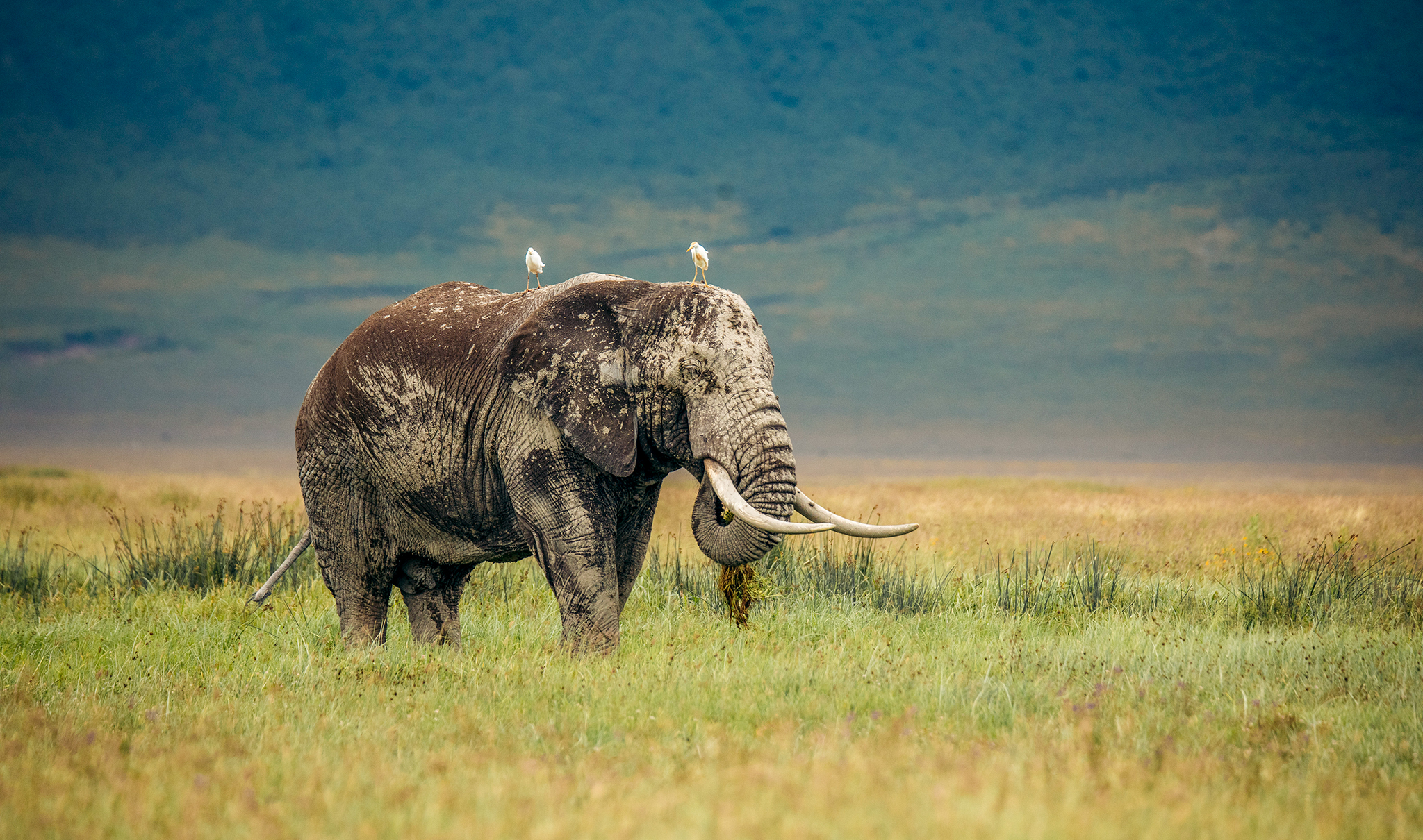 Ngorongoro Crater, Tanzania