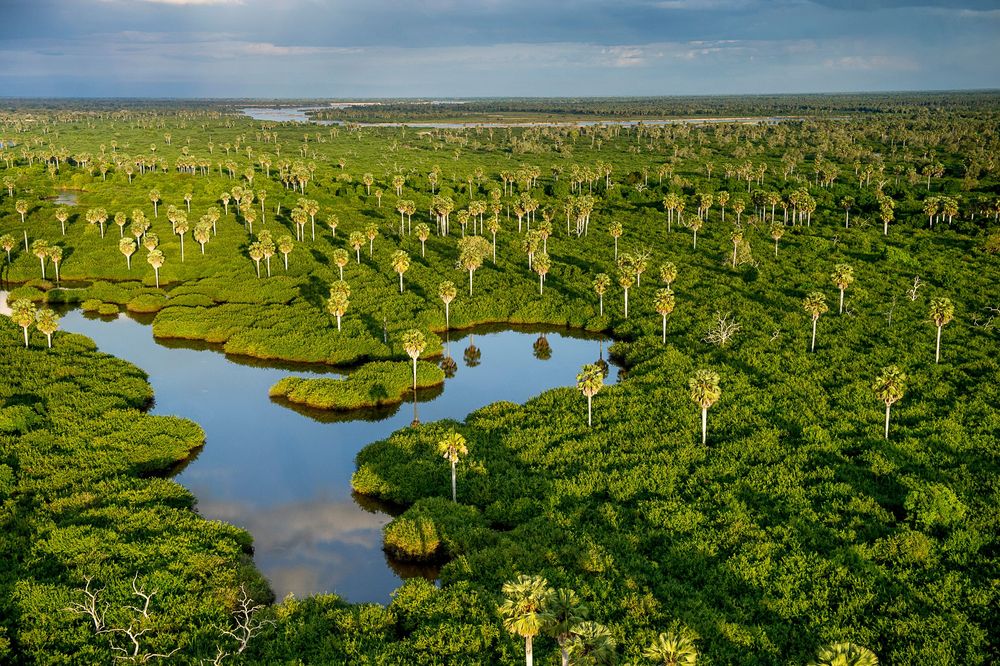 Nyerere National Park, Tanzania