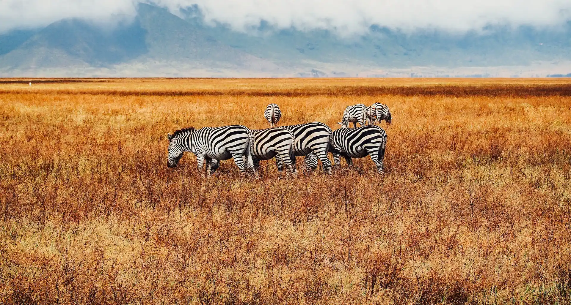 Ngorongoro Crater, Tanzania