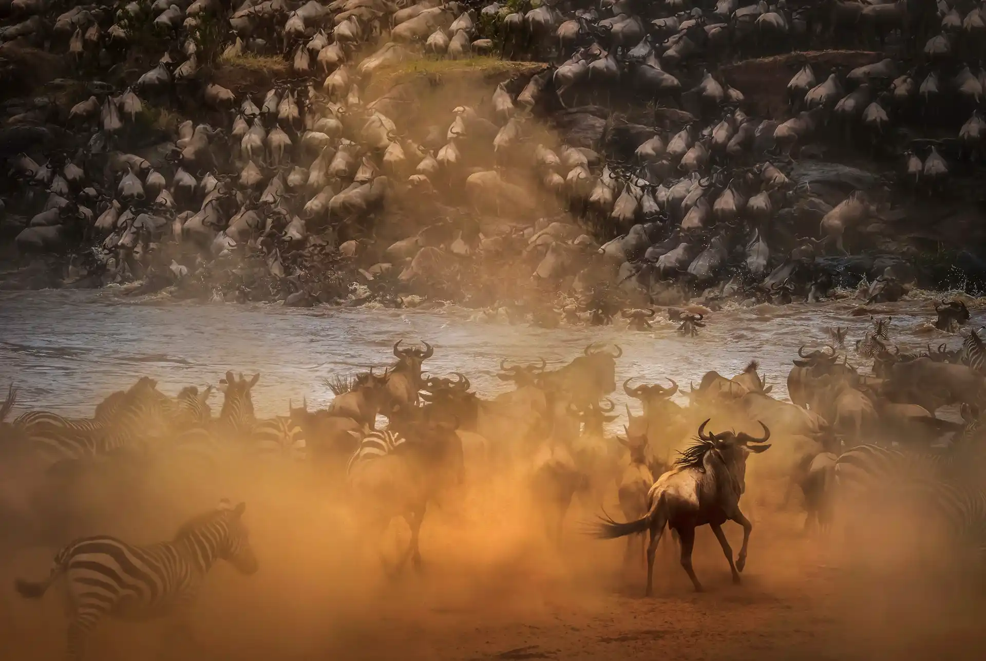 Great Migration Safaris, Tanzania