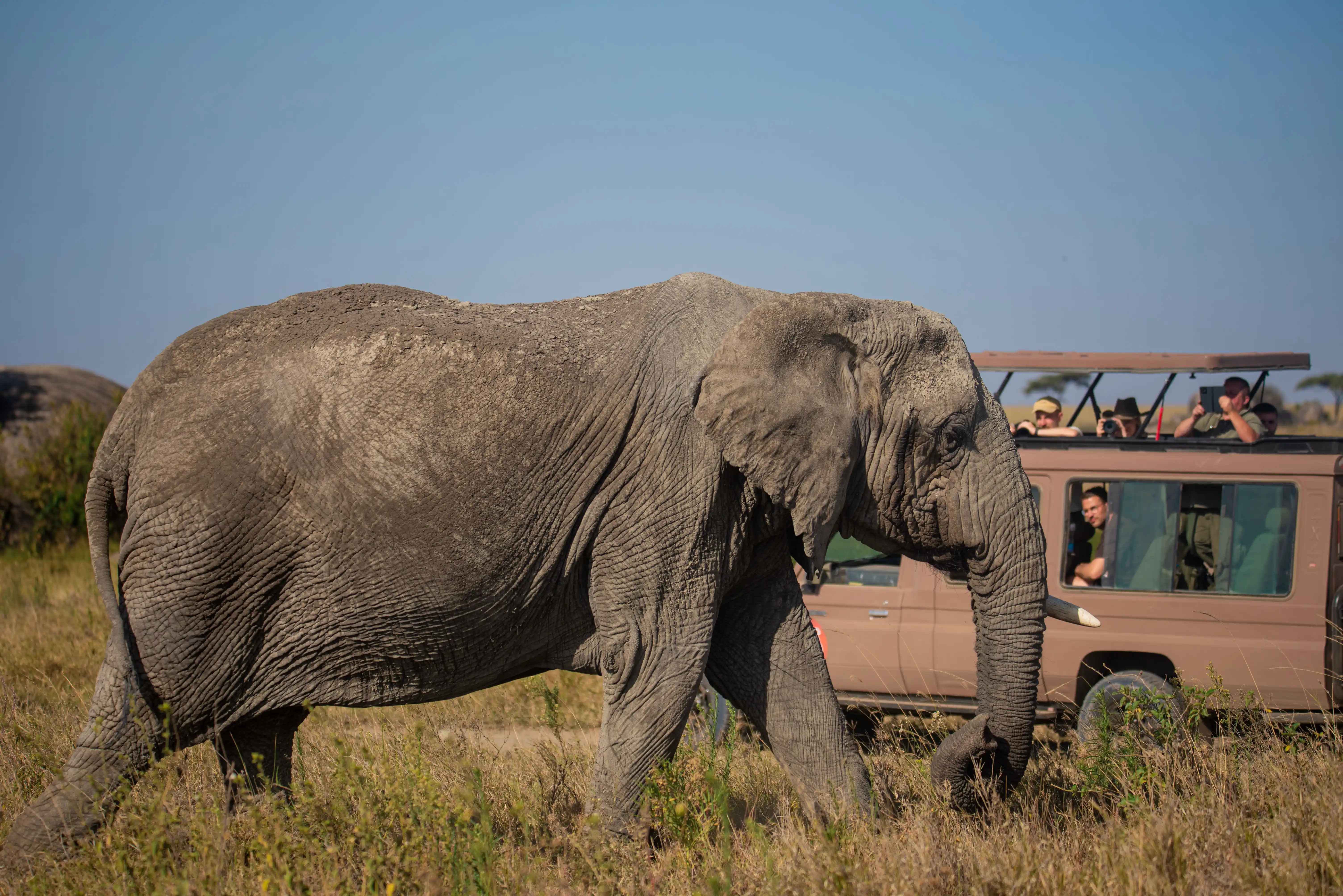 5 Days Tarangire, Serengeti & Ngorongoro — Tarangire, Serengeti, Ngorongoro Crater, Tanzania